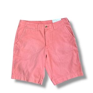 NWT American Eagle classic next level shorts size 31
